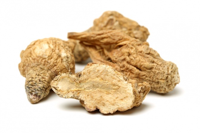 Maca-Knolle