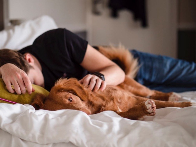 Ein Mann in der Midlife Crisis liegt mit dem Hund im Bett