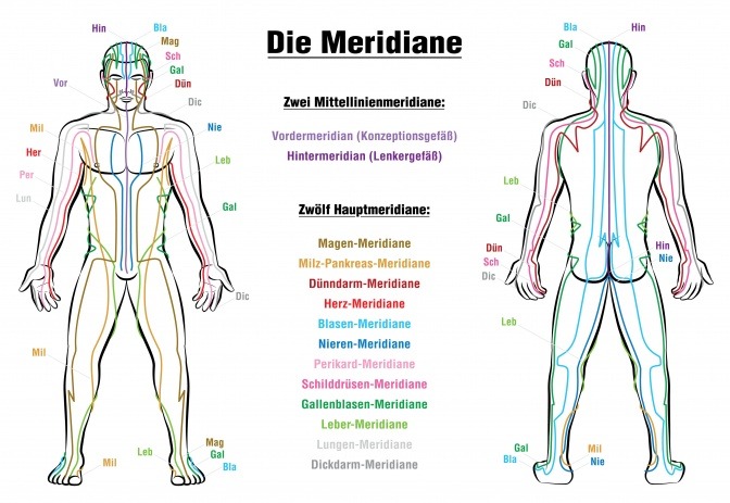 Die Meridiane im Körper des Menschen sind grafisch dargestellt