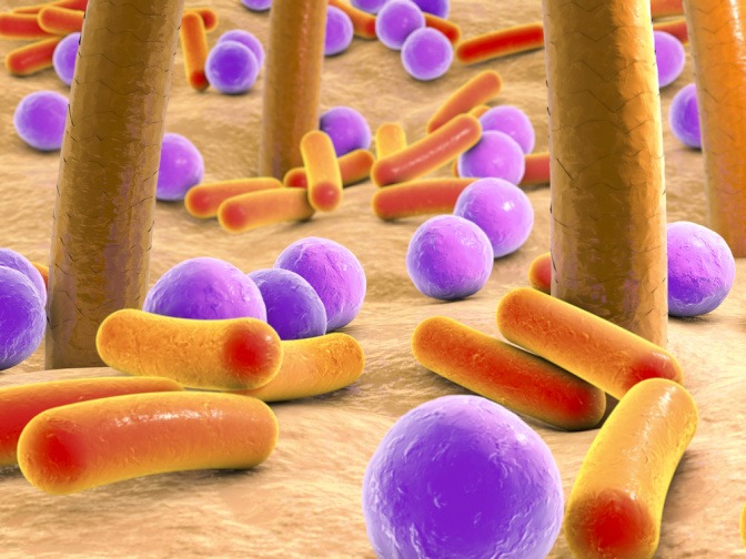 Illustration von unterschiedlichen Mikrobiomen auf der Haut von zwei Personen