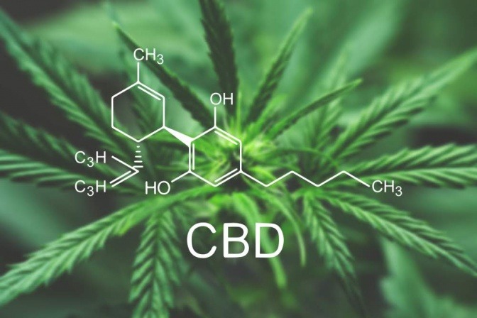 CBD Molekül vor Hanfblättern