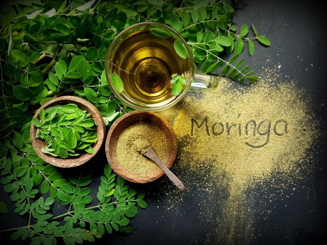 Moringa-Blätter, -Öl und -Samenpulver