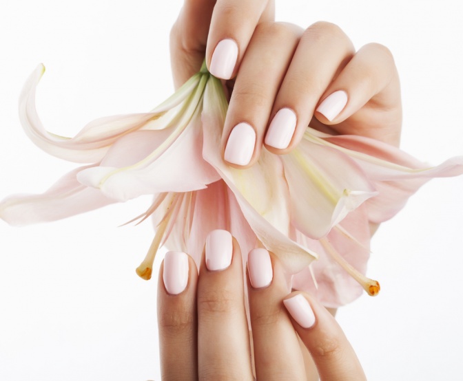 Hände mit pastell rosa Nagellack Farben halten eine pastell rosa Orchidee