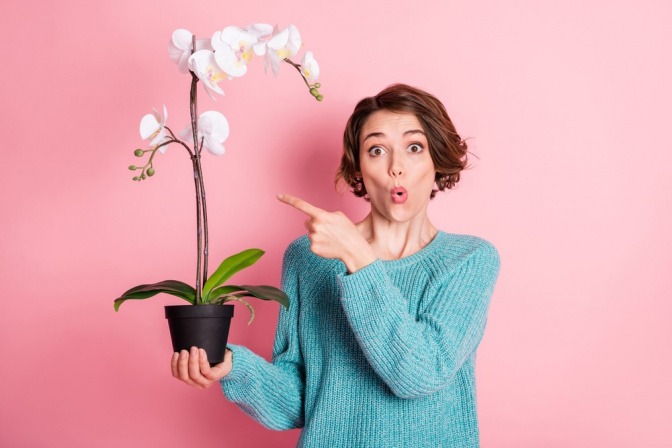 Frau hält weiße Orchidee in der Hand und zeigt auf sie.
