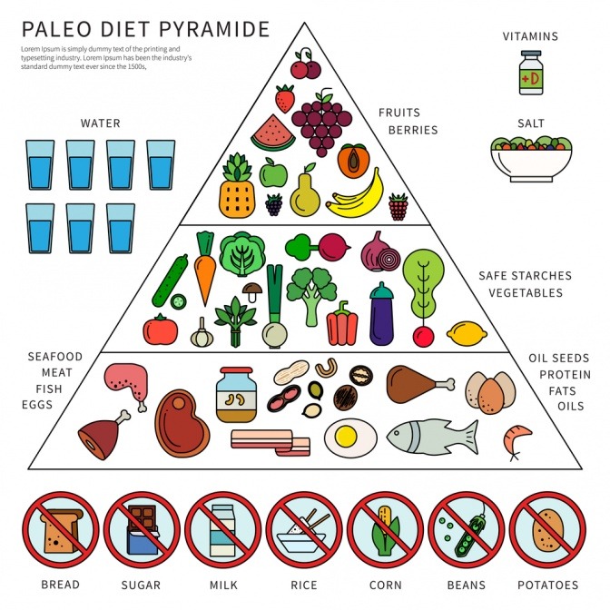 Paleo Diät Ernährungspyramide