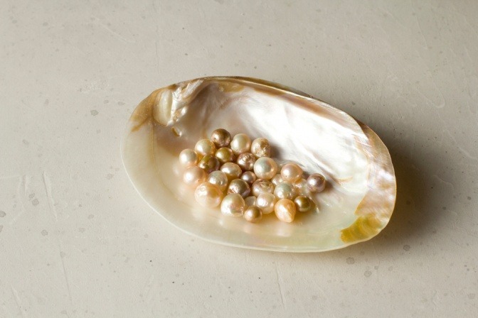 Perlen in einer Muschelschale