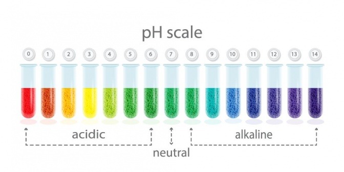 Skala der unterschiedlichen pH-Werte