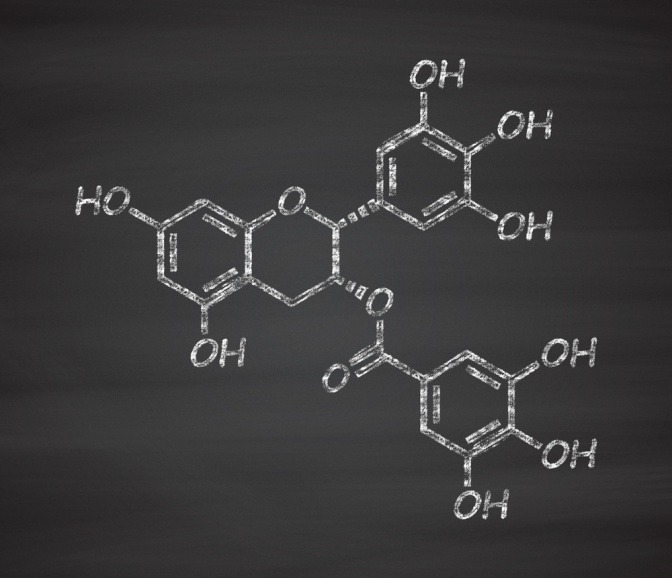 Molekülstruktur von Polyphenol