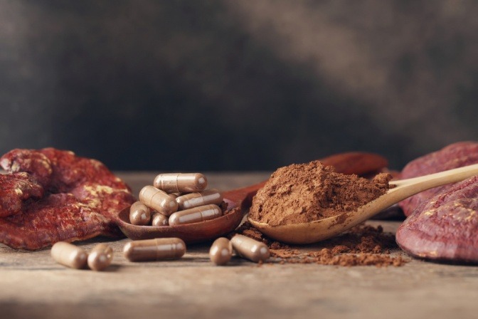 Reishi-Kapseln und Pulver