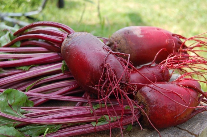 Rote Beete (Rote Rüben) liegen auf einem Tisch