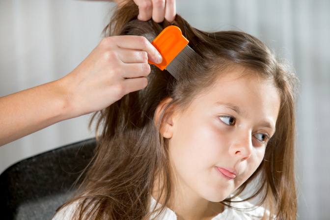Bei einem Mädchen werden die Haare mit einem Lauskamm gekämmt, um Läuse zu erkennen