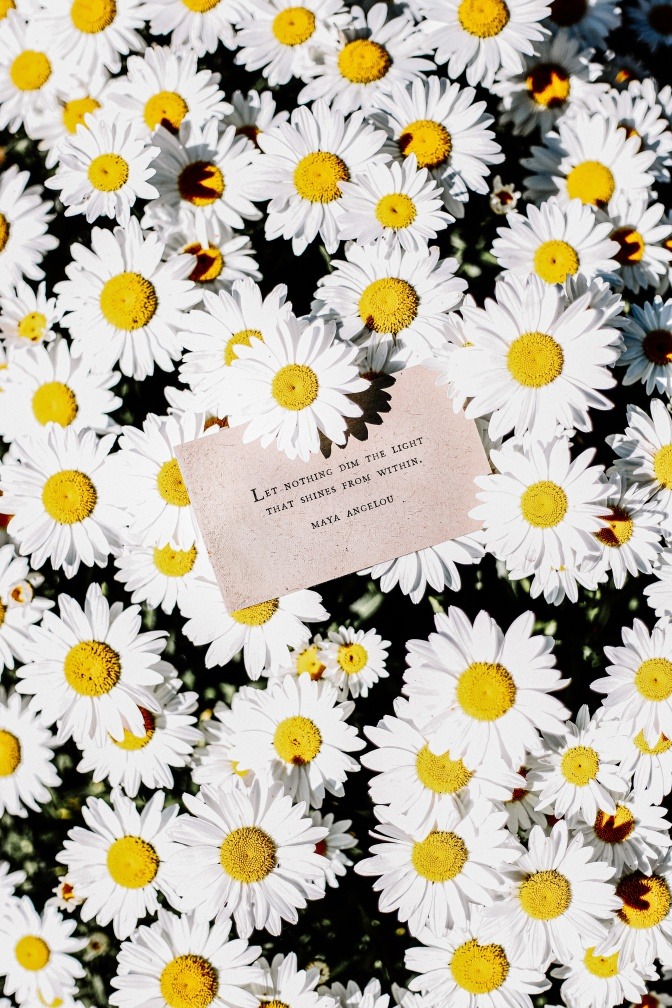 Eine Karte in einem Blumenbeet. Die Karte ist mit einem Zitat der Autorin Maya Angelou beschriftet: let nothing dim the light that shines from within you.