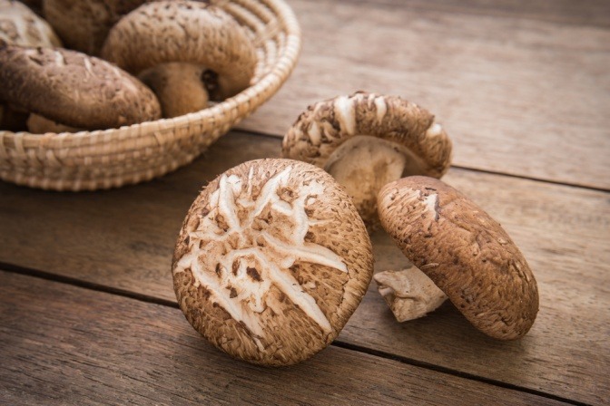 Einige Shiitake Pilze liegen nebeneinander