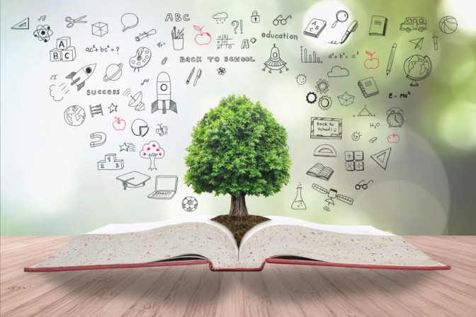 Offenes Buch aus der Mitte heraus wächst ein Baum rund um ihn herum Symbole unseres Alltags