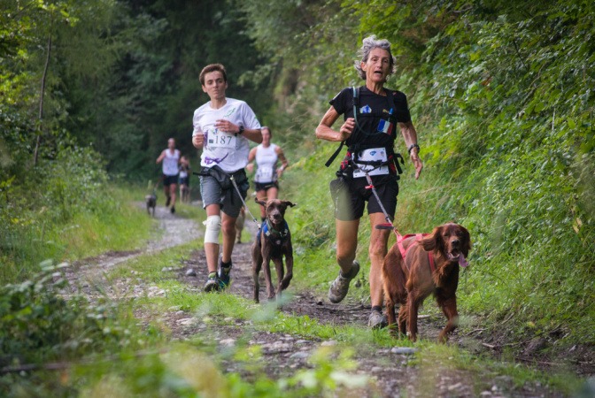 Mehrere Hundebesitzer beim Canicross durch ein Waldstück.