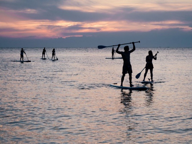 Eine Gruppe von Menschen macht die Trendsportart Stand Up Paddling