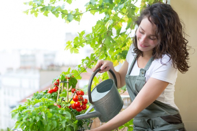 Frau gießt selbst angebaute Mini-Tomaten auf ihrem Balkongarten.