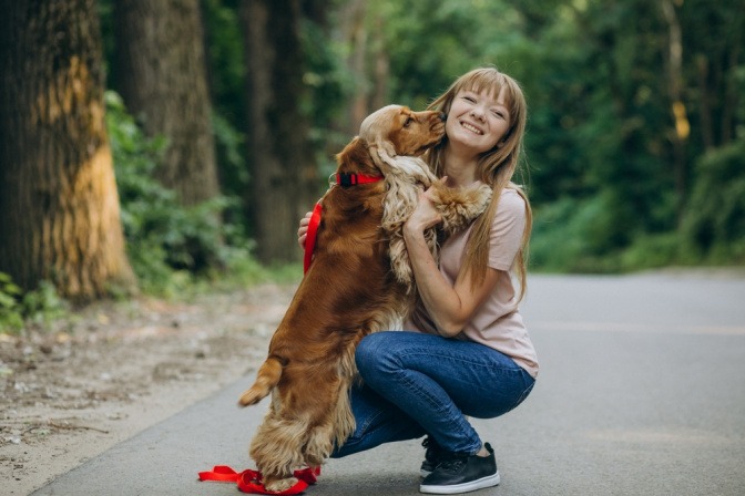 Hund an der Leine draußen