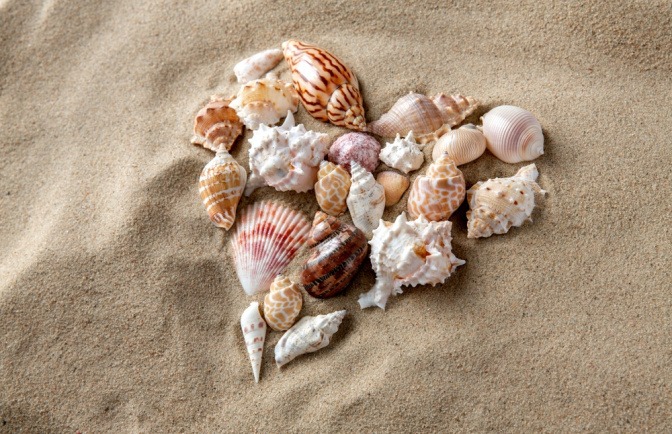 Herz aus Muscheln am Strand