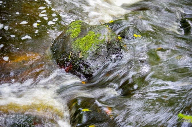Wasser fließt über Steine