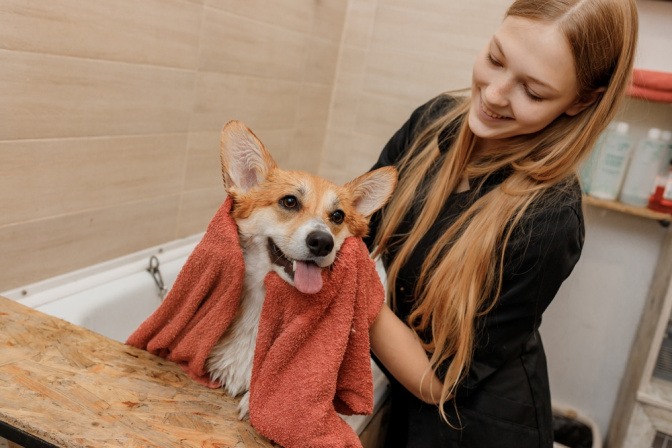 Frau trocknet ihren Hund nach einem ausgiebigen Schaumbad ab.