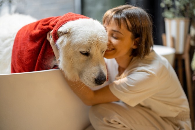 Frau schmust nach dem Baden ihres Hundes mit ihrem Vierbeiner, während sie abtrocknet.