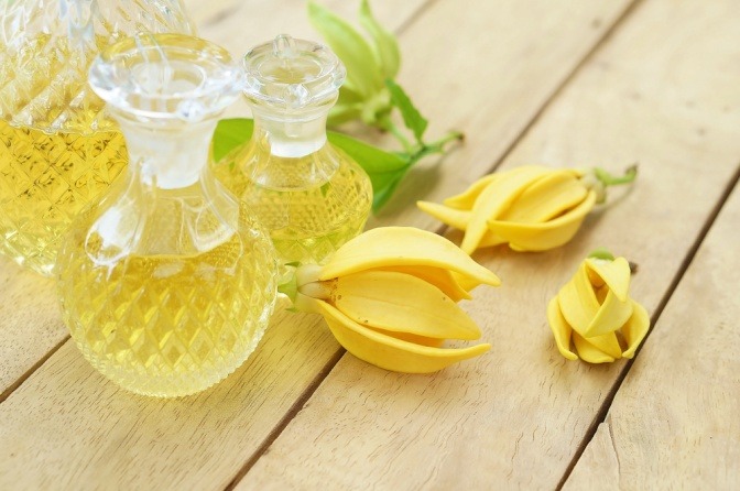 Ylang Ylang Blüte und Duftöl
