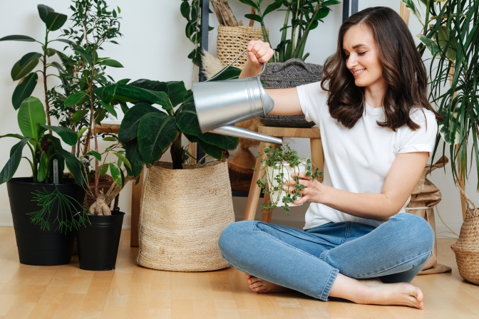 Eine Frau gießt Zimmerpflanzen für ein gesundes Raumklima