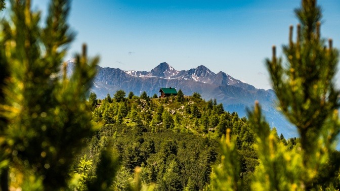 Hütte in einem Wald von Zirben