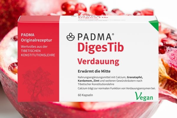 Vorschaubild für PADMA DigesTib