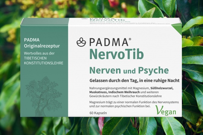 Vorschaubild für NervoTib
