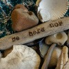 Sammlung aus Muscheln, Treibholz mit Aufschrift "Be here now"