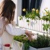 Mädchen setzt Pflanzen gegen Mücken