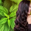 Frau mit schönen Haaren, im Hintergrund eine Brennnesselpflanze