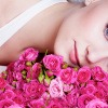 schöne Frau liegt auf Rosenblüten