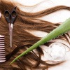 Kamm und Schere liegen auf Haaren, daneben ein Blatt Aloe Vera und Kokosfett in einem Glas