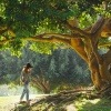 Eine Frau geht zu einem Baum, der energetische Wirkung haben soll