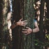 Eine Frau umarmt einen Baum