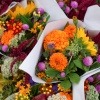 Wer einen Blumenstrauß selber binden möchte, greift dazu bestimmt auf Blumen wie die im Bild gezeigten zurück, die man in vielen Gärten finden kann.