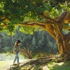 Eine Frau geht zu einem Baum, der energetische Wirkung haben soll