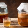 Das fermentierte Getränk Kombucha ist in Gefäße abgefüllt