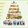 Eine Food Pyramide von cellRESET ist abgebildet