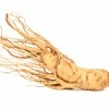 Ginseng Wurzel