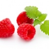 Himbeeren