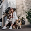 Hund mit Frau im Business-Look
