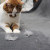 Katzenhaare und Katze auf der Couch