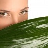 Frau versteckt ihre schöne Haut im Gesicht hinter einem Blatt