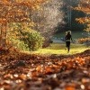 Eine Frau treibt Sport im Herbst