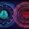 Darstellung einer energetischen Verbindung von Herz und Verstand