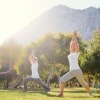 eine Gruppe macht Yoga Übungen zur Achtsamkeit